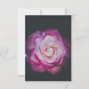 Fuchsia roos flower bedankkaart