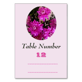 Fuchsia Roze Bloemen Bloemig Kaart