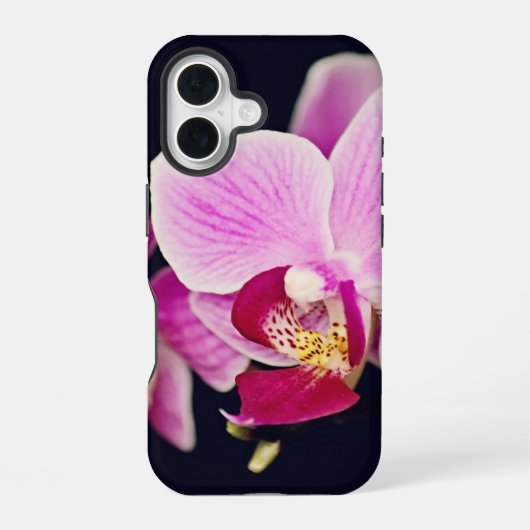 Fuchsia Roze Orchidee iPhone 16 Hoesje (Achterkant)
