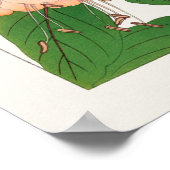 Fuchsia, roze Paarse rode bloemen, Tanigami Konan, Poster (Hoek)