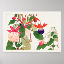 Fuchsia, roze Paarse rode bloemen, Tanigami Konan, Poster