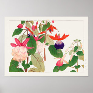 Fuchsia, roze Paarse rode bloemen, Tanigami Konan, Poster