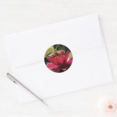 Fuchsia Roze Waterlelie Bloem Ronde Sticker (Envelop)