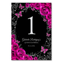 Fuchsia Roze Zwart Zilver Quinceanera