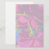 Fuchsia Rozen Briefpapier (Voorkant / Achterkant)
