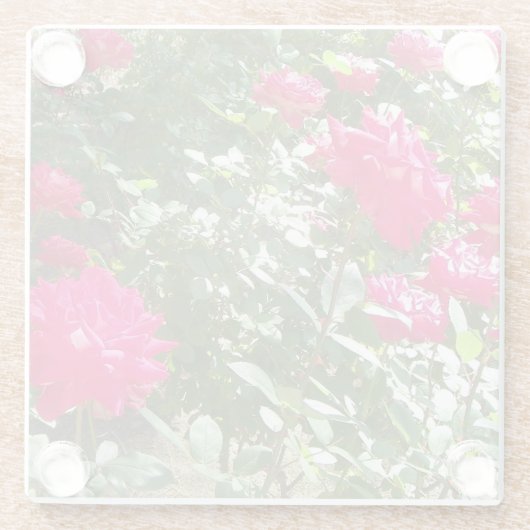 Fuchsia rozen overal glazen onderzetter (Achterkant)