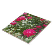 Fuchsia rozen overal tegeltje (Zijkant)