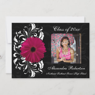 Fuchsia Scroll Gerbera Daisy Afstuderen Kaart
