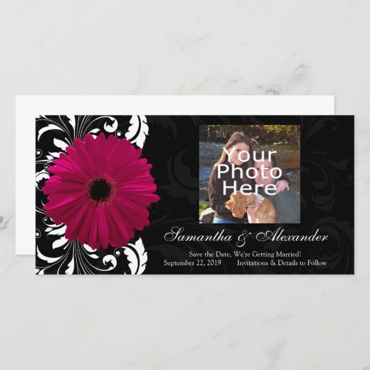 Fuchsia Scroll Gerbera Daisy met Zwart en Wit Save The Date (Voorkant / Achterkant)
