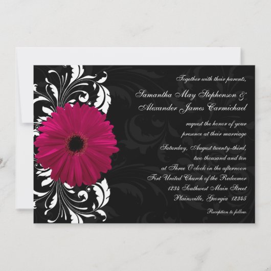 Fuchsia Scroll Gerbera Daisy w/Black en White Kaart (Voorkant)