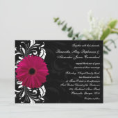 Fuchsia Scroll Gerbera Daisy w/Black en White Kaart (Staand voorkant)