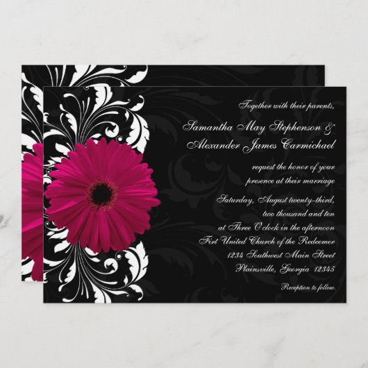 Fuchsia Scroll Gerbera Daisy w/Black en White Kaart (Voorkant / Achterkant)