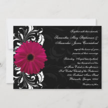 Fuchsia Scroll Gerbera Daisy w/Black en White