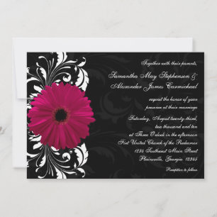 Fuchsia Scroll Gerbera Daisy w/Black en White Kaart