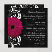 Fuchsia Scroll Gerbera Daisy w/Black en White Kaart (Voorkant / Achterkant)