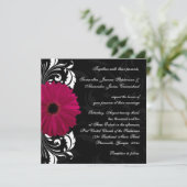 Fuchsia Scroll Gerbera Daisy w/Black en White Kaart (Staand voorkant)