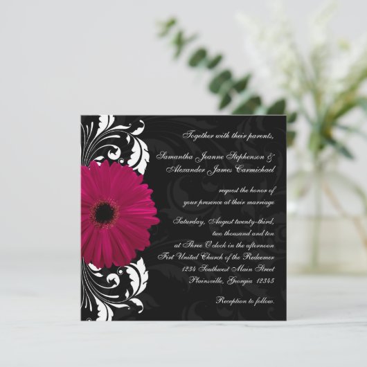 Fuchsia Scroll Gerbera Daisy w/Black en White Kaart (Staand voorkant)