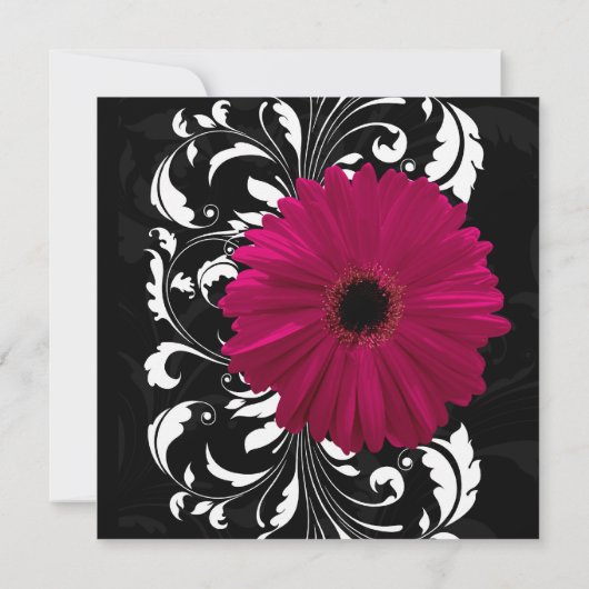Fuchsia Scroll Gerbera Daisy w/Black en White Kaart (Achterkant)