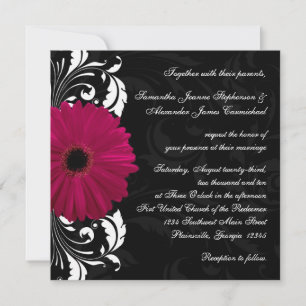 Fuchsia Scroll Gerbera Daisy w/Black en White Kaart