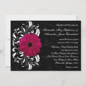 Fuchsia Scroll Gerbera Daisy w/Black en White Kaart (Voorkant)