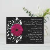 Fuchsia Scroll Gerbera Daisy w/Black en White Kaart (Staand voorkant)
