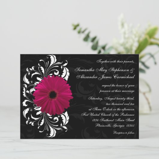 Fuchsia Scroll Gerbera Daisy w/Black en White Kaart (Staand voorkant)