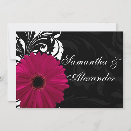 Fuchsia Scroll Gerbera Daisy w/Black en White Kaart (Achterkant)