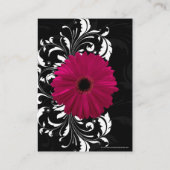 Fuchsia Scroll Gerbera Daisy w/Black en White Plaatskaartje (Achterkant)