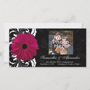 Fuchsia Scroll Gerbera Daisy w/Black en White Save The Date