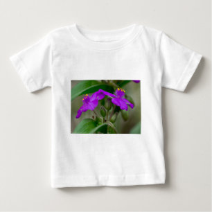 Fuchsia Spiderwort Tweeling Wilde Bloem Geschenken
