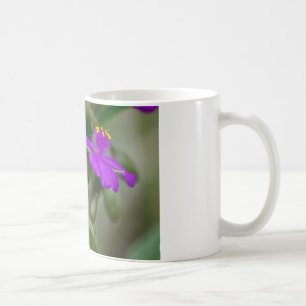 Fuchsia Spiderwort Tweeling Wilde Bloem Geschenken Koffiemok