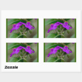 Fuchsia Spiderwort Tweeling Wilde Bloem Geschenken Rechthoekige Sticker (Vel)