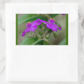Fuchsia Spiderwort Tweeling Wilde Bloem Geschenken Rechthoekige Sticker (Tas)