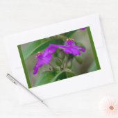 Fuchsia Spiderwort Tweeling Wilde Bloem Geschenken Rechthoekige Sticker (Envelop)