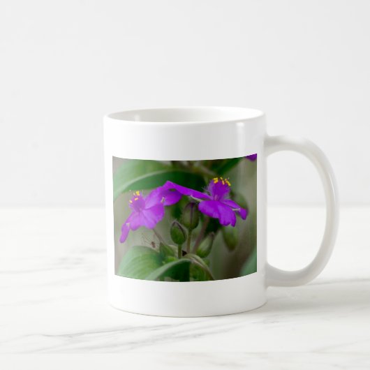 Fuchsia Spiderwort Twins Wildflower Gifts apparel Koffiemok (Rechts)