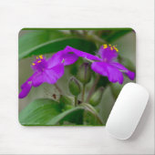 Fuchsia Spiderwort Twins Wildflower Gifts apparel Muismat (Met muis)