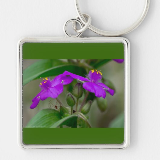 Fuchsia Spiderwort Twins Wildflower Gifts apparel Sleutelhanger (Voorkant)