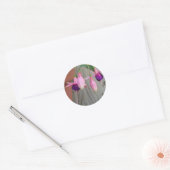 Fuchsia Stickers (Envelop)