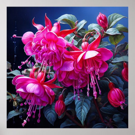fuchsia waterverf Poster (Voorkant)