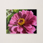 Fuchsia Zinnia Flower Close-up Legpuzzel (Horizontaal)