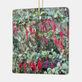 Fuchsiaflower Gooseberry (Ribes speciosum) Keramisch Ornament (Links)