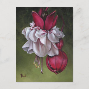 Fuchsias Briefkaart