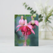 Fuchsias Briefkaart (Staand voorkant)