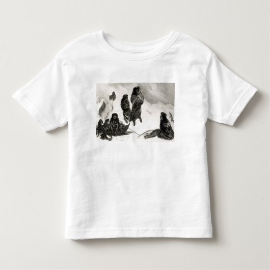 Fuegiërs gaan handel drijven in Zapallos Kinder Shirts (Voorkant)