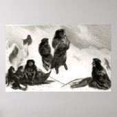 Fuegiërs gaan handel drijven in Zapallos Poster (Voorkant)