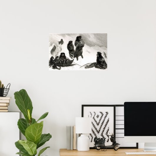 Fuegiërs gaan handel drijven in Zapallos Poster (Thuiskantoor)