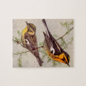 Fuertes Blackburnian Warbler Bird Painting Jigzaag Legpuzzel (Horizontaal)
