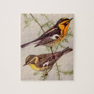 Fuertes Blackburnian Warbler Bird Painting Jigzaag Legpuzzel