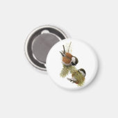 Fuertes' kastanjegebakken kip magneet (Voorkant / Achterkant)