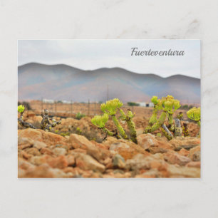 Fuerteventura bergen briefkaart